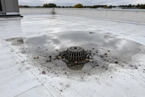 Rainwater pooling around a drain on a white TPO flat roof membrane